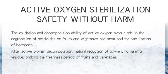 Homefish Glasplatte Portable Obst-Gemüsesterilisierungsmaschine Intelligente Multifunktionsmaschine 400mg/h Ozongenerator für die Küche 3