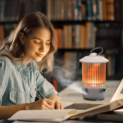Guter Preis HOMEFISH Batteriebetriebener USB-Luftbefeuchter 260 ml Online